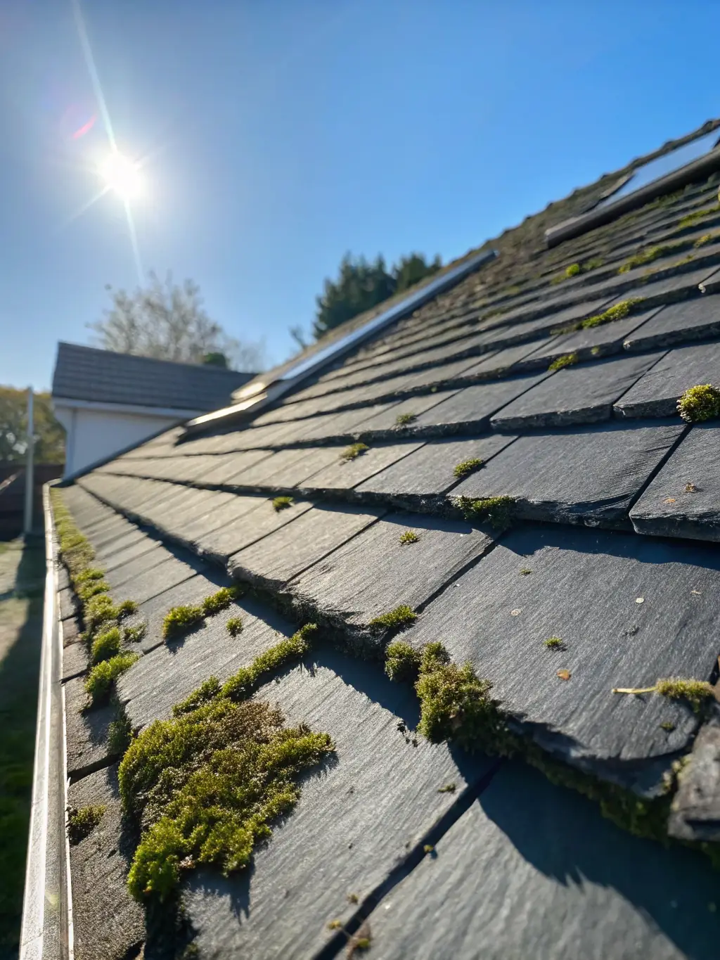 A roof being soft washed, demonstrating the gentle removal of algae and moss without damaging the shingles, highlighting the safety and effectiveness of the method.